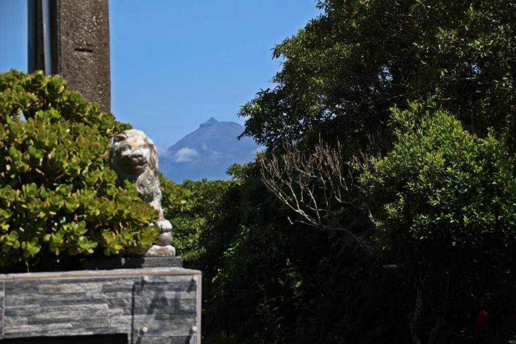 Casas Da Boa Vista Villa Horta  Bagian luar foto